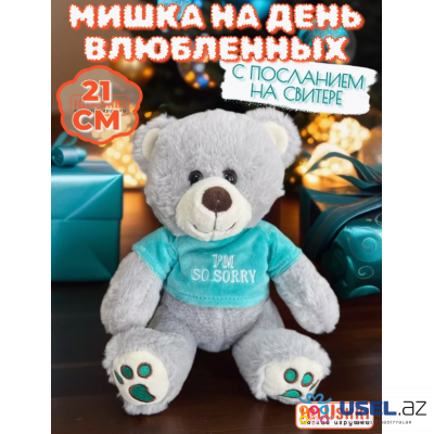 Soft toy Teddy bear in a T-shirt with inscriptions 21 cm